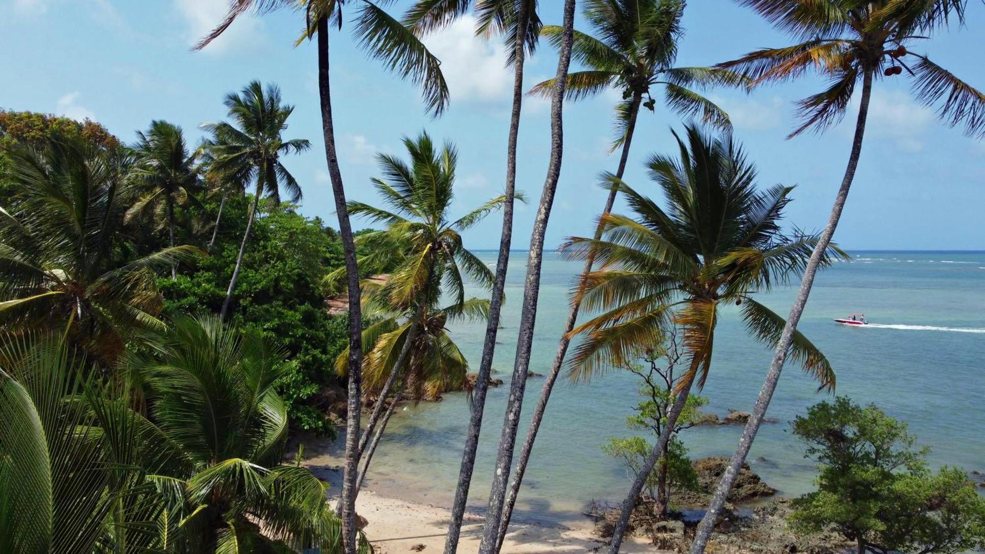Hotel Pousada Boutique Coco Bambu Morere Eksteriør bilde